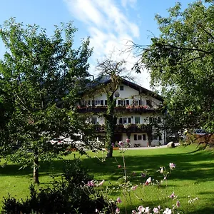 Lex Guest house